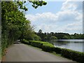 SU8230 : Hotel driveway near Liphook by Malc McDonald