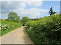 SU8238 : Smithy Lane, near Bordon by Malc McDonald