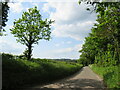 SU8439 : Bacon Lane, near Farnham by Malc McDonald