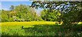 TM3861 : Watermeadows along the River Fromus, Benhall Green by Christopher Hilton