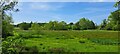 TM3859 : Watermeadows along the River Fromus, Snape Watering by Christopher Hilton