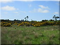 NO4910 : Heathland near Lathockar by Scott Cormie