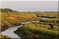 TM2943 : Channel through the saltings, Waldringfield by Roger Jones