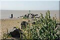 TM1312 : Rock Groyne at Seawick by Glyn Baker