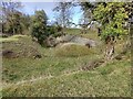 SO6099 : Disused limestone quarry near Leasow Field by Mat Fascione