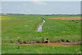 TM1112 : Field Drain in St Osyth Marsh by Glyn Baker