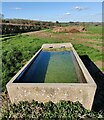 SO5593 : Cattle trough near Pilgrim Cottage by Mat Fascione