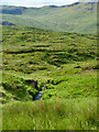 NG4759 : A charming scene of a stream embracing the remnants of an ancient tramway's stone piers on the verdant hillside by Mick Garratt