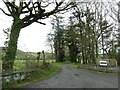 SN6579 : Tree lined track to Glan Rheidol by David Smith