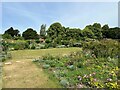 SU3227 : The Rose Garden, Mottisfont by Adrian Taylor