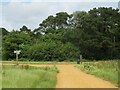 SY9992 : Path in Upton Country Park, near Poole by Malc McDonald