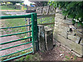 SK2462 : Stone Stile, Birchover by Jayne Tovey