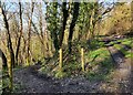 SO5797 : Track and path at Wenlock Edge by Mat Fascione