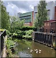 SO8376 : River Stour in Kidderminster town centre by Mat Fascione