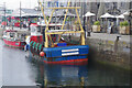 SX4854 : 'Cornish Gem' in Sutton Harbour by Stephen McKay