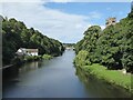 NZ2741 : Looking North from the Prebends Bridge by Chris Holifield