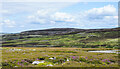 NY9947 : Heather moorland above valley of Feldon Burn by Trevor Littlewood