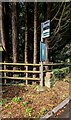 ST3695 : Cwrt Bleddyn bus stop sign near Tredunnock by Jaggery