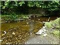 NS5579 : Sluice on the Blane Water by Richard Sutcliffe