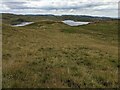 SN7868 : Looking down on Llyn Teifi by David Medcalf