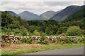 NY1102 : Wasdale View by Peter Trimming