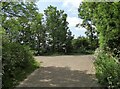 NZ3068 : Path junction at the country park by Robert Graham