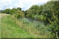 SP1953 : River Avon by Philip Halling