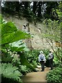 NZ0878 : In the quarry garden at Belsay Hall by Christine Johnstone