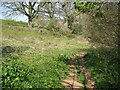 NY3643 : Footpath near Crookholme Mill by Adrian Taylor