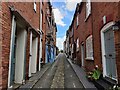 SO5174 : Houses along Upper Linney, Ludlow by Mat Fascione