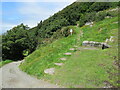 SH6115 : Path onto Dinas Oleu, Barmouth by Malc McDonald