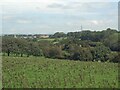 SS8778 : Wooded countryside to the south of Laleston by eswales