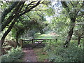 SH6314 : Public bridleway near Barmouth by Malc McDonald