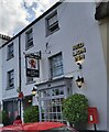 SY1391 : Red Lion Inn at Sidbury by John P Reeves