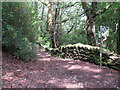 SH6316 : Paths meet near Barmouth by Malc McDonald