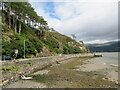 SH6215 : North bank of Afon Mawddach, near Barmouth by Malc McDonald