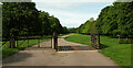 ST5706 : Cattle grid, Melbury Park by Derek Harper