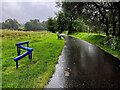 H4772 : Wet along the Highway to Health path, Mullaghmore by Kenneth  Allen