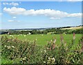 NZ0747 : Grazing field beside Healeyfield Lane by Robert Graham