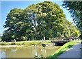 ST2788 : Feeding the ducks, Fourteen Locks, Newport by Robin Drayton