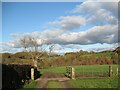 NY3642 : Cattle grid on The Cumbria Way by Adrian Taylor