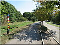 TQ3682 : Cycle path in Mile End Park by Malc McDonald