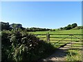 NZ0747 : Gateway on south side of Healeyfield Lane by Robert Graham