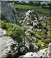 SW9959 : Roche - Looking northwards from the top of the rock by Rob Farrow