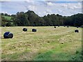 SK3248 : Wrapped hay bales in a field by Ian Calderwood