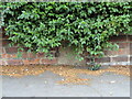 SP5107 : Old Boundary Marker on Banbury Road, Oxford by Roadside Relics