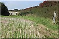 SR9596 : Bridleway by edge of arable field by M J Roscoe