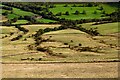 SK1585 : Fiddle Clough by Peter McDermott