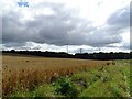 NZ3454 : Power line across a field at Flinton Hill by Robert Graham