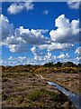 TM4768 : Dunwich Heath, above Minsmere Cliffs by Christopher Hilton